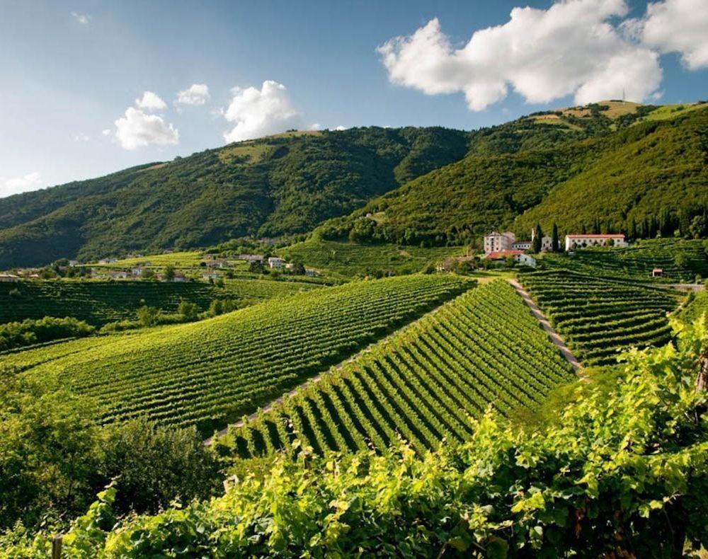 Follinetta10 - Enjoy Holiday Home In The Prosecco Hills 福利纳 外观 照片