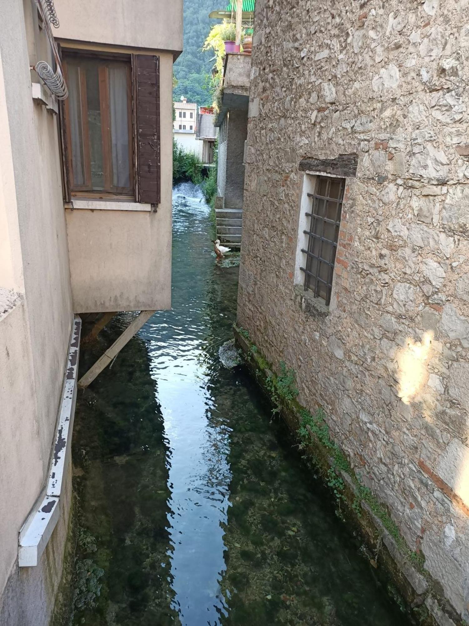 Follinetta10 - Enjoy Holiday Home In The Prosecco Hills 福利纳 外观 照片